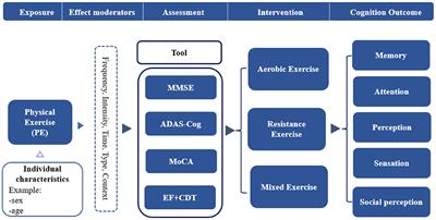 Effect of Physical Exercise on Cognitive Function of Alzheimer's Disease Patients: A Systematic Review and Meta-Analysis of Randomized Controlled Trial